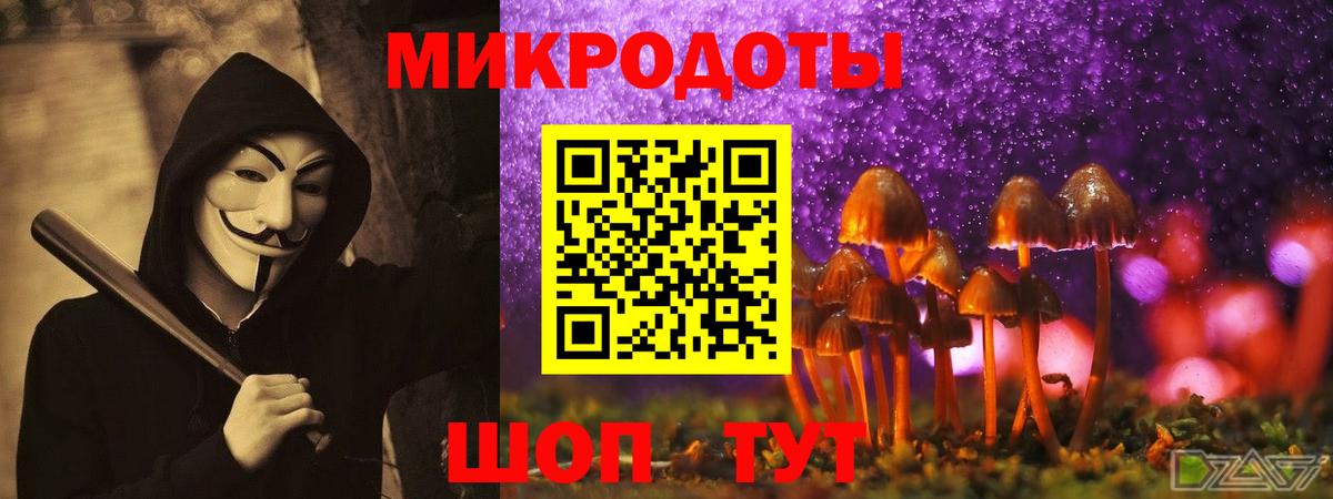Галлюциногенные грибы прущие грибы Усть-Джегута