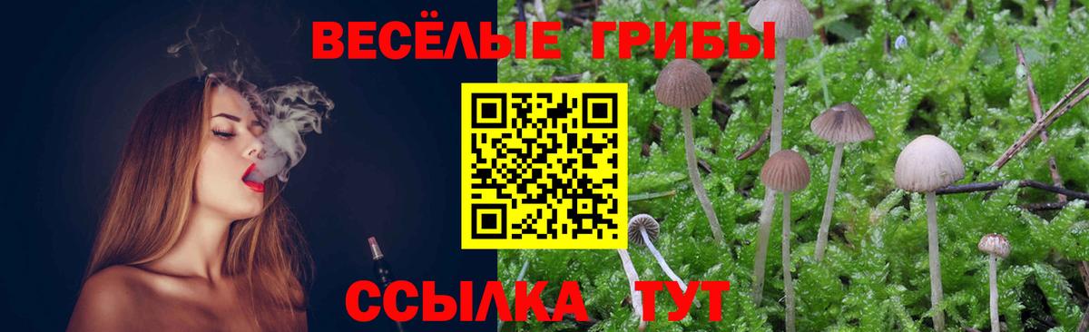 Усть-Джегута  Галлюциногенные грибы MAGIC MUSHROOMS  Вход с VPN 